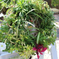 富永恵菜 ひみつの花園4