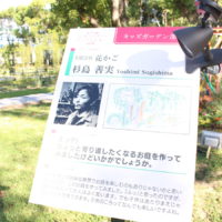 Yoshimi Sugishima