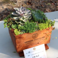 下釜弘子 あざやかに穏やかに広がっていく時間1