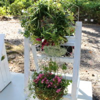 富永恵菜 ひみつの花園1