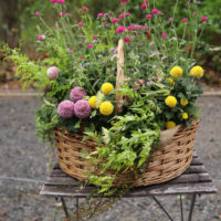 一花からはじめましょう