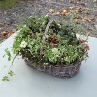 Autumn Flower Box