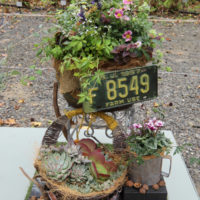 Pieno di fiori